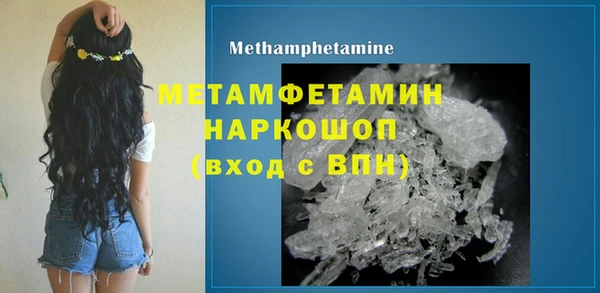 сатива Иннополис