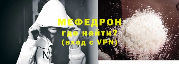 spice Инта
