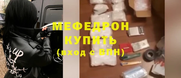 spice Инта