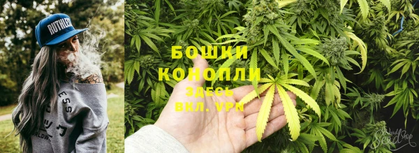 сатива Иннополис