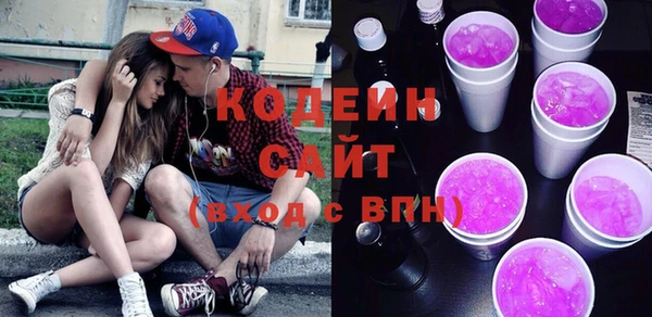 сатива Иннополис