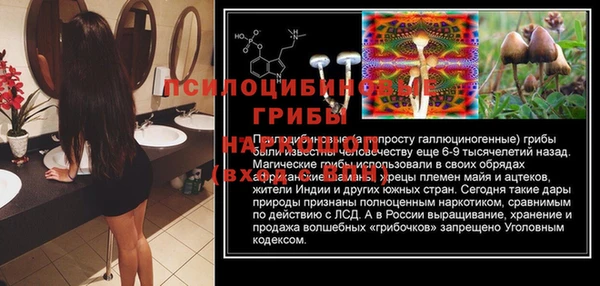 сатива Инсар