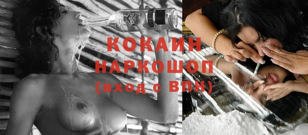 spice Инта