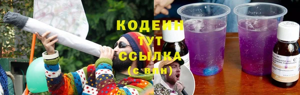 сатива Иннополис
