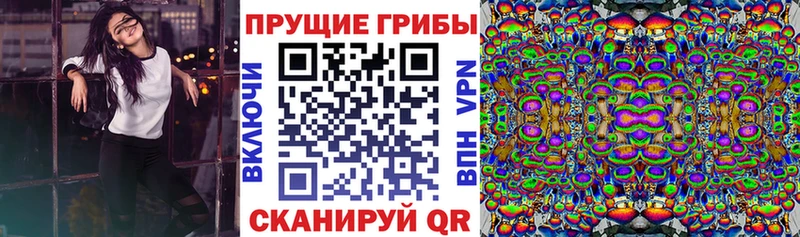 Галлюциногенные грибы прущие грибы  что такое   Можга 