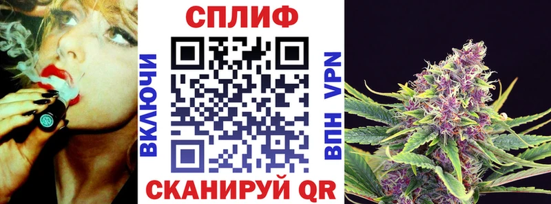 Шишки марихуана сатива  Можга 